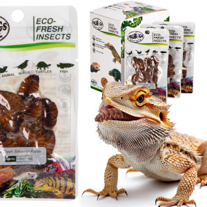 ProBugs Eco-Fresh Silkworm 15 x 15g - świeże larwy jedwabnika 15 saszetek