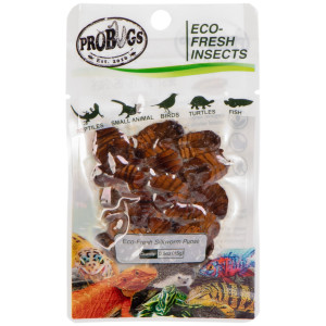 ProBugs Eco-Fresh Silkworm 15 x 15g - świeże larwy jedwabnika 15 saszetek