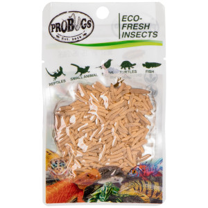 ProBugs Eco-Fresh Riceworm 15 x 15g - świeże larwy muchy 15 szaszetek