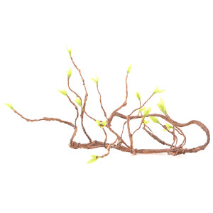 Repti-Zoo Jungle Tree - liana / drzewko gięte