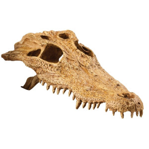 EXO TERRA Crocodile Skull (czaszka krokodyla)