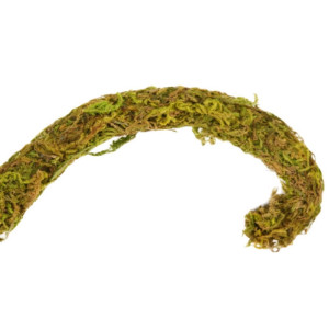 Repti-Zoo Liana z naturalnym mchem 1,5cm x 2m