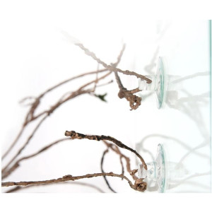 Repti-Zoo Jungle Multi Vines - rozgałęziona liana gięta 150cm