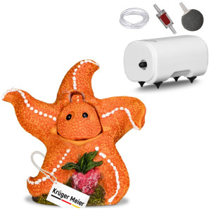Kruger Meier Happy Starfish Set – Ozdoba z napowietrzaczem do akwarium