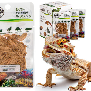 ProBugs Eco-Fresh Mealworm 15 x 20g - świeże larwy mącznika 15 saszetek
