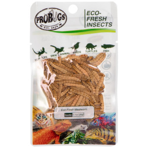 ProBugs Eco-Fresh Mealworm 15 x 20g - świeże larwy mącznika 15 saszetek