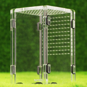 Terrario Mantis Area S - terrarium akrylowe dla modliszek i owadów