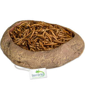 Terrario Rock Oasis L – Miska do Terrarium 17x15x4,5 cm