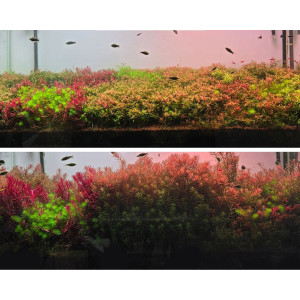 Neo Booster Plants FERTI 1000ml - nawóz dla roślin akwariowych dla początkujących