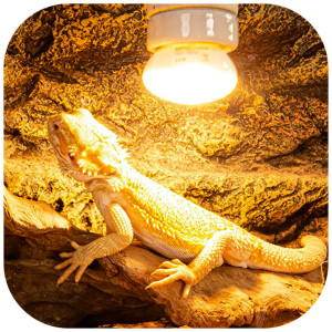 Repti-Zoo Mini Daylight Spot NANO 25W - żarówka grzewcza 2 sztuki